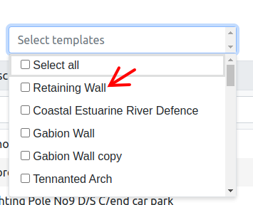 select asset template
